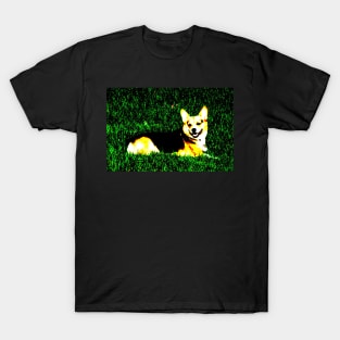 Nugget T-Shirt